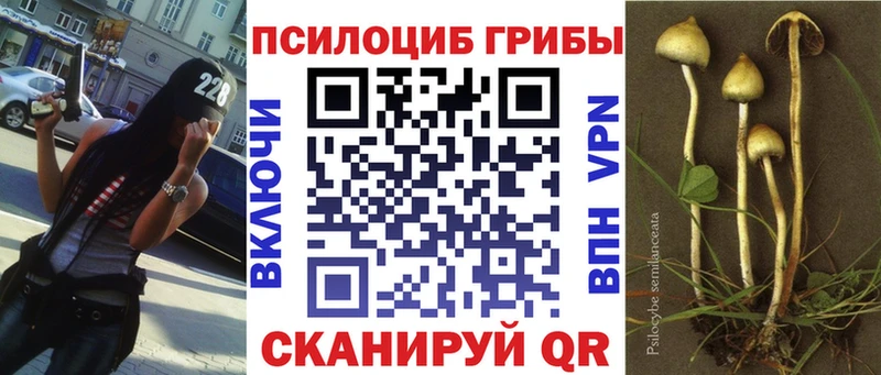 Псилоцибиновые грибы Magic Shrooms  KRAKEN рабочий сайт  Барыш  купить наркоту 