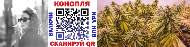 Канабис White Widow Барыш